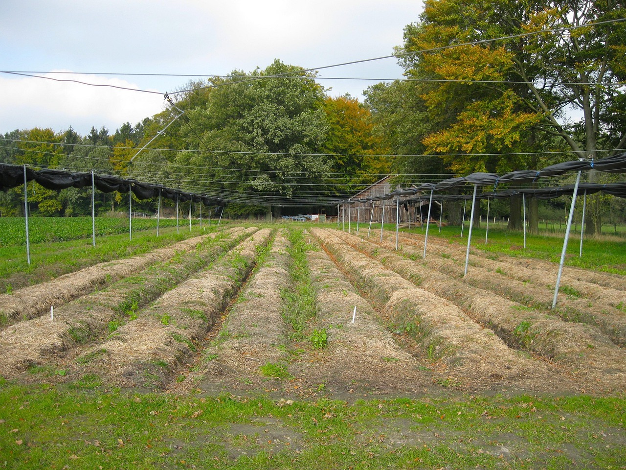 NODE Hill Side Villa Plot